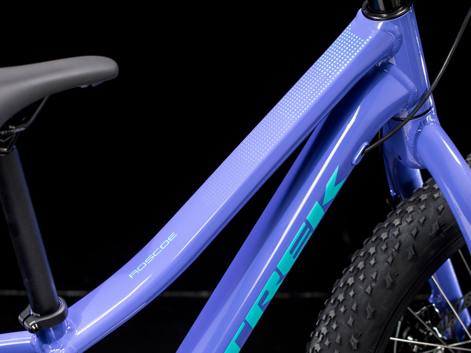 Детский велосипед Trek Roscoe 20 2019