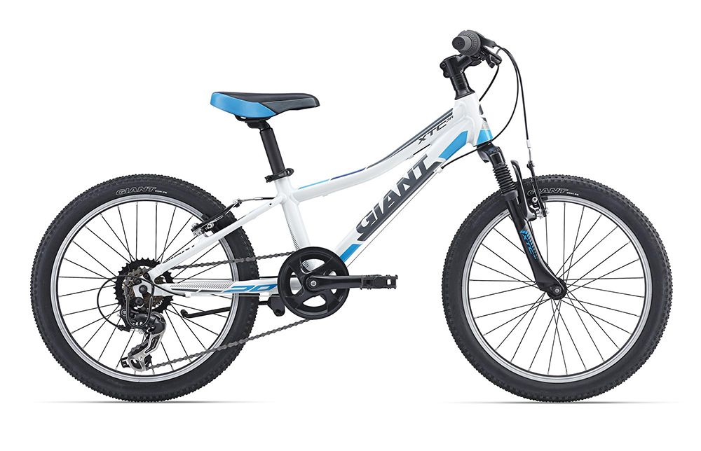  Велосипед Giant XtC Jr 20 2022