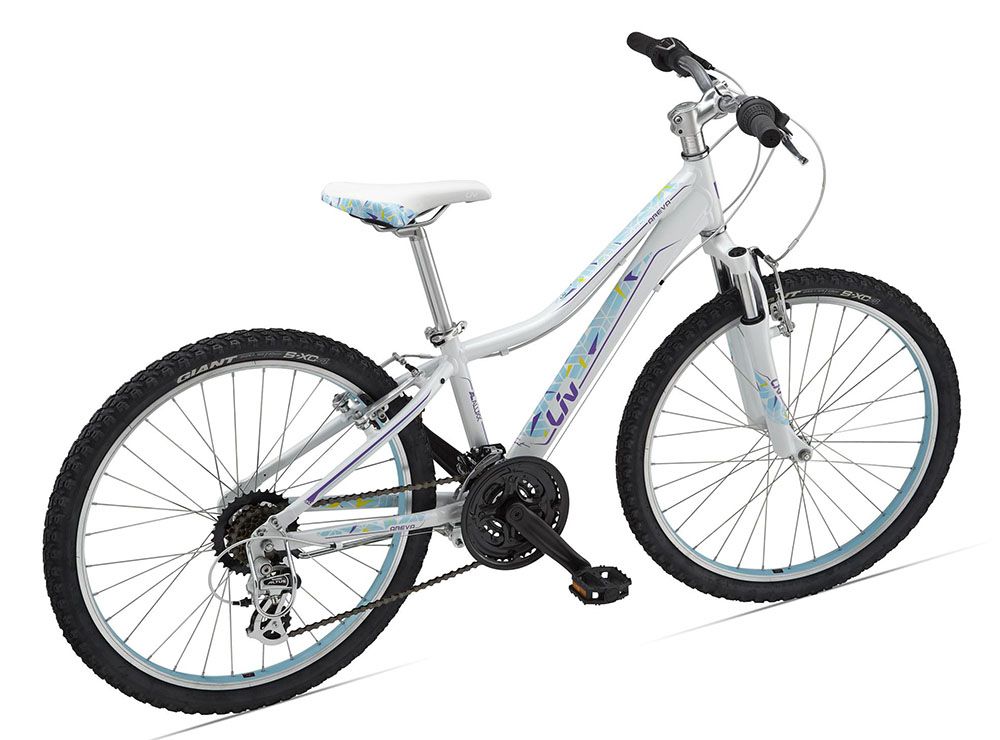 Детский велосипед Giant Areva 1 24 2015