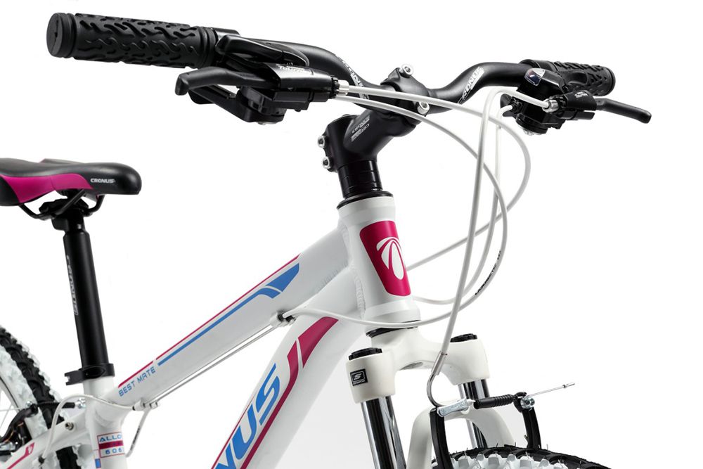 Детский велосипед Cronus Best Mate 24 girl 2014