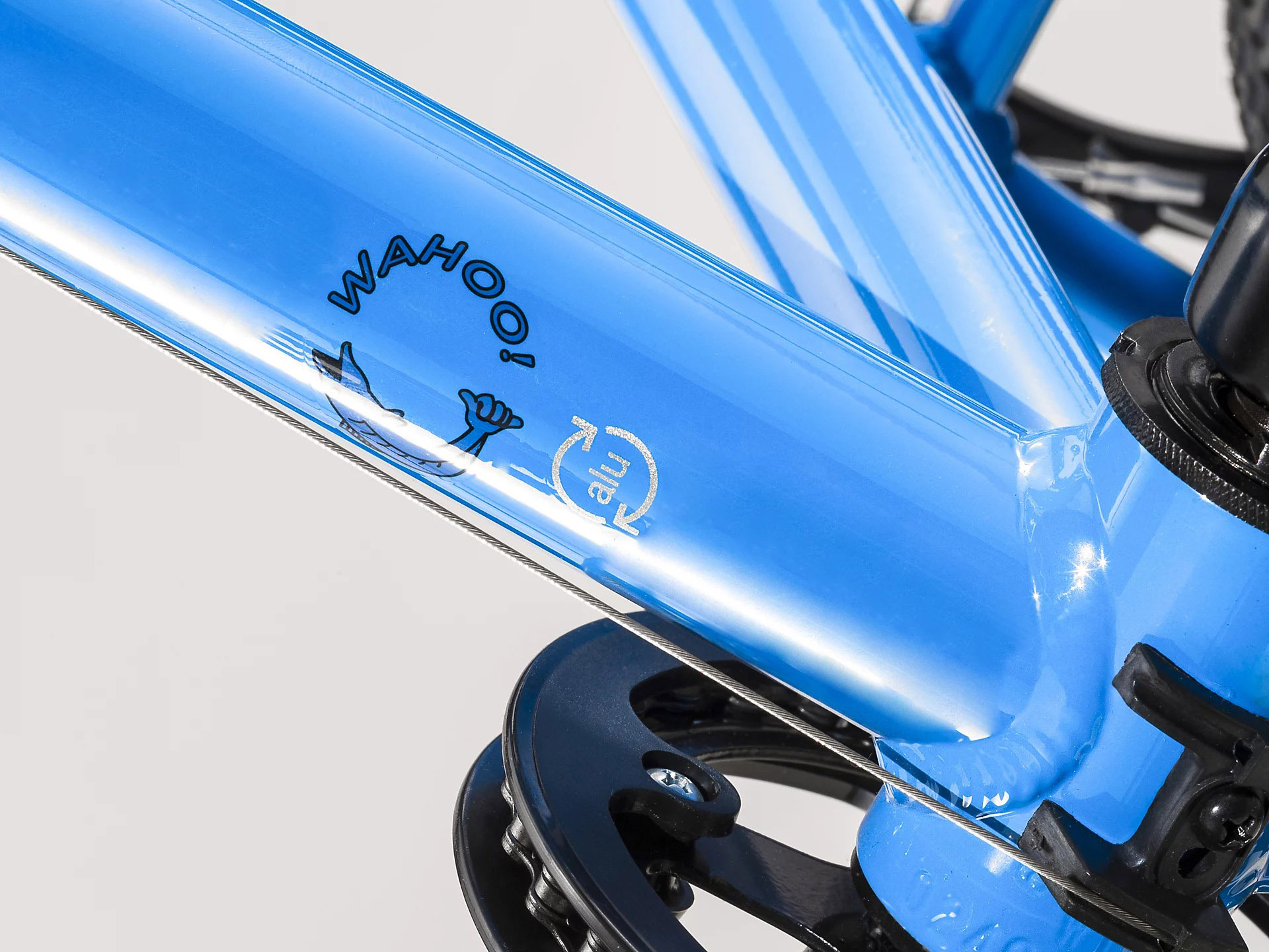 Детский велосипед Trek Wahoo 20 2020