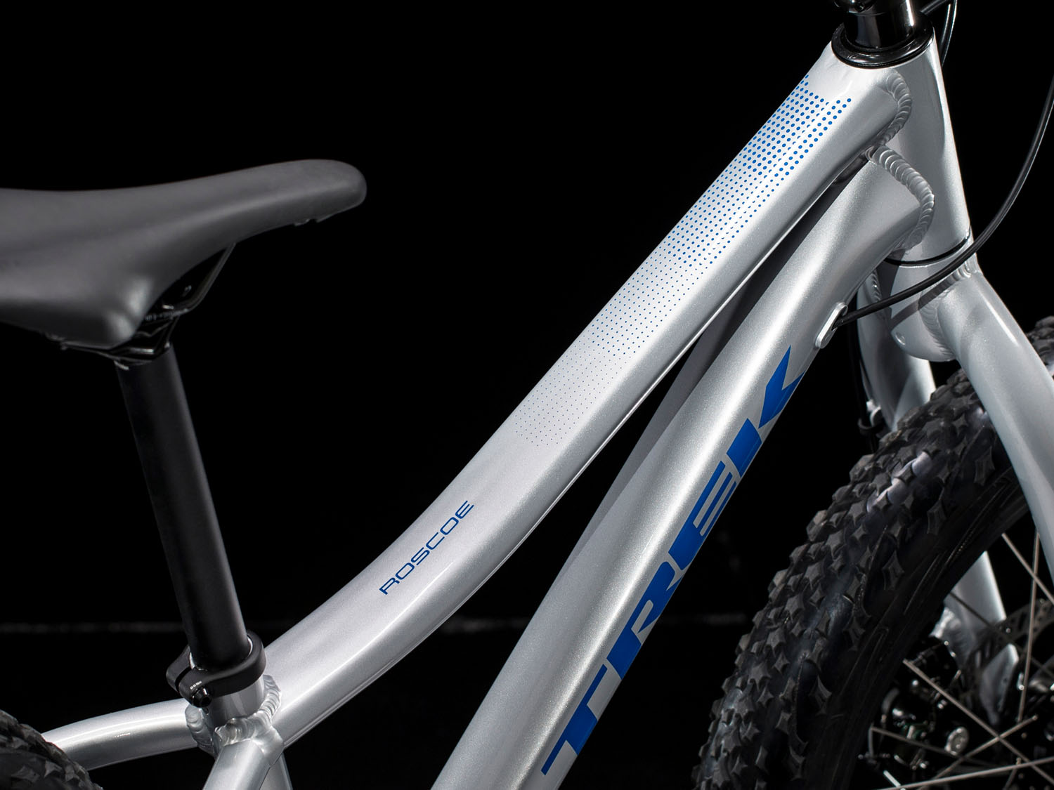 Детский велосипед Trek Roscoe 20 2019