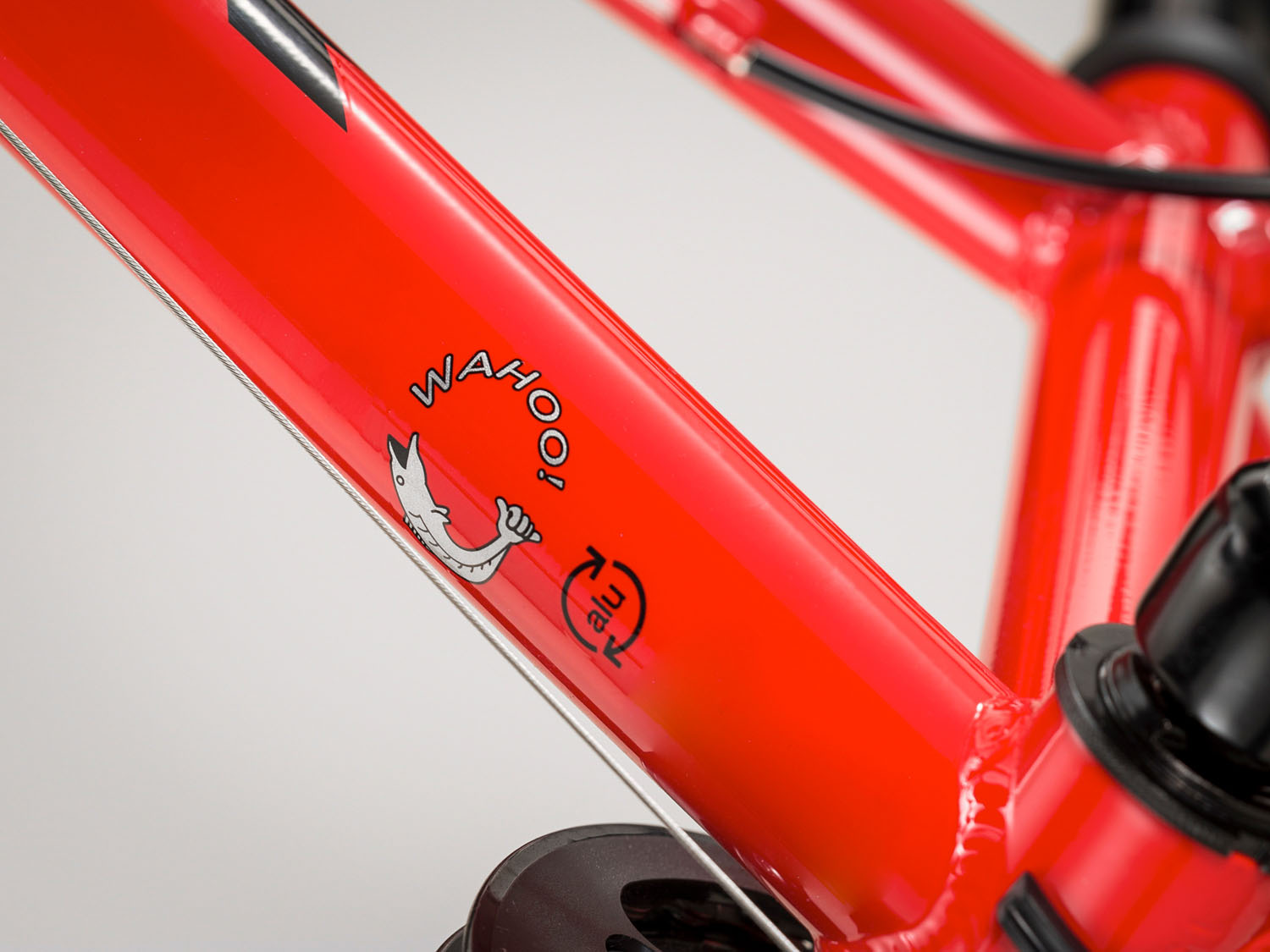 Детский велосипед Trek Wahoo 20 2019