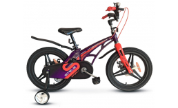 Фиолетовый велосипед  Stels  Galaxy Pro 14" V010 (2021)  2021