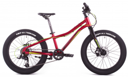Велосипед детский  Merida  Matts J20 Plus Pro (2023)  2023