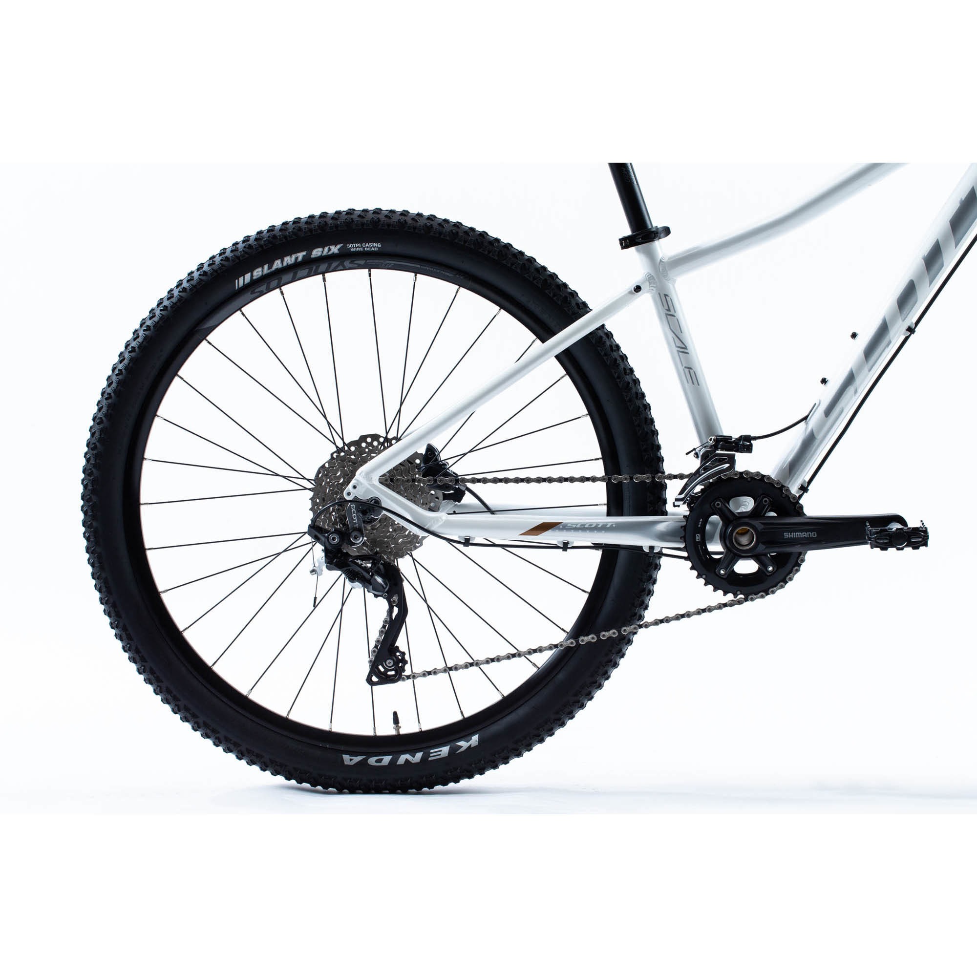 scott scale 20 2008