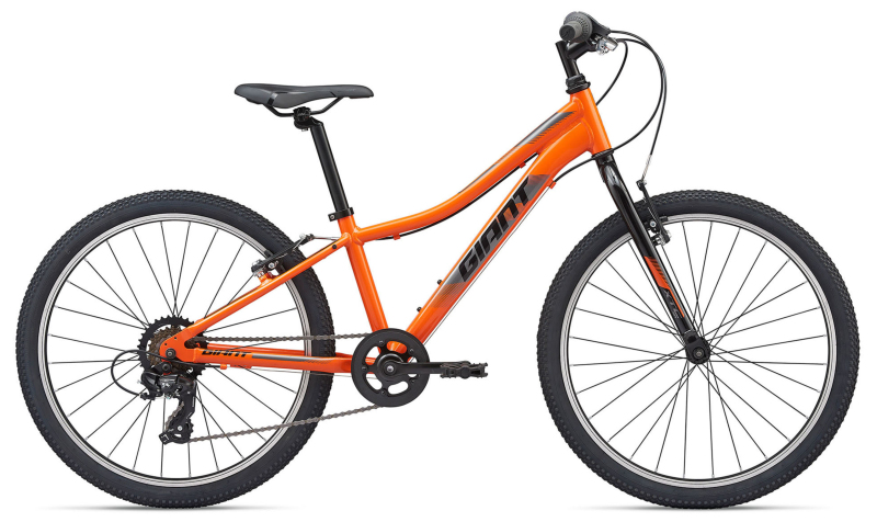  Велосипед Giant XTC Jr 24 Lite (2021) 2021
