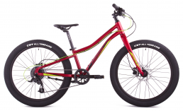 Велосипед детский  Merida  Matts J24 Plus Pro (2023)  2023