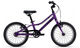 Фиолетовый велосипед  Giant  ARX 16 F/W  2022
