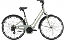 Городской велосипед с дисковыми тормозами  Giant  Flourish FS 3  2022