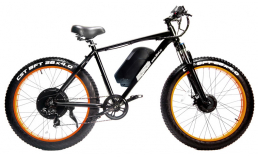 Электровелосипед для бездорожья  Медведь  500x1500  2020