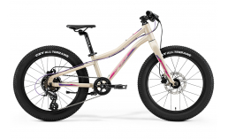 Велосипед детский  Merida  Matts J.20+ (2021)  2021