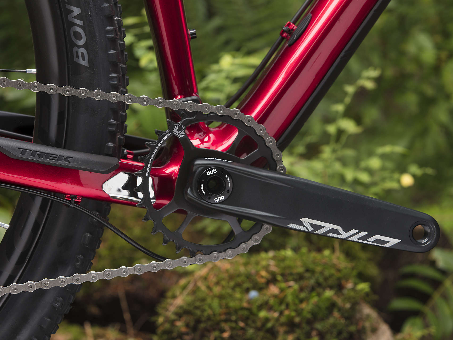 trek procaliber 2019