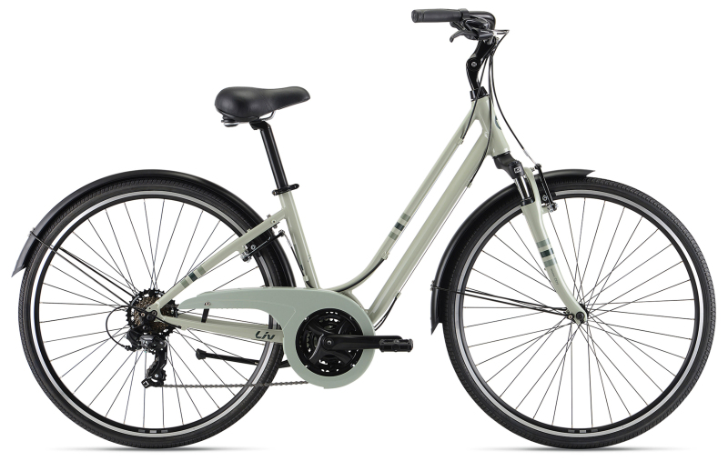  Велосипед Giant Flourish FS 3 (2021) 2021